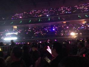 吃瓜猪娱乐演唱会,狂欢之夜,星光熠熠