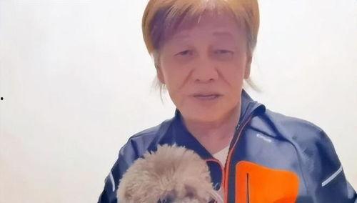 吃瓜系统娱乐圈一口气看完,一网打尽,尽享八卦盛宴